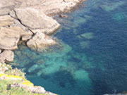Cote